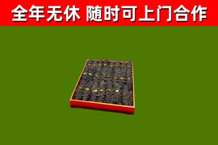 连山区回收海参